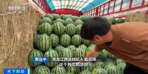 黑龙江教室网盘吃瓜,揭秘校园网盘的“吃瓜”真相