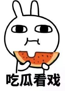 吃瓜网热点,揭秘娱乐圈最新热点事件！