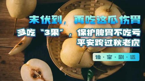 吃瓜网有什么危害,网络世界的暗流涌动