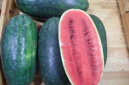 黑瓜吃料网入口怎么没了