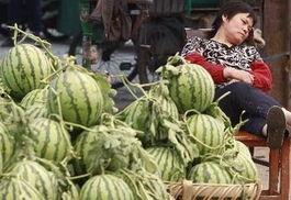 漳州网红吃瓜事件真相,揭秘背后真相与网络舆论风暴