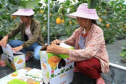 吃瓜逛街的网红有哪些人,吃瓜逛街的明星面孔